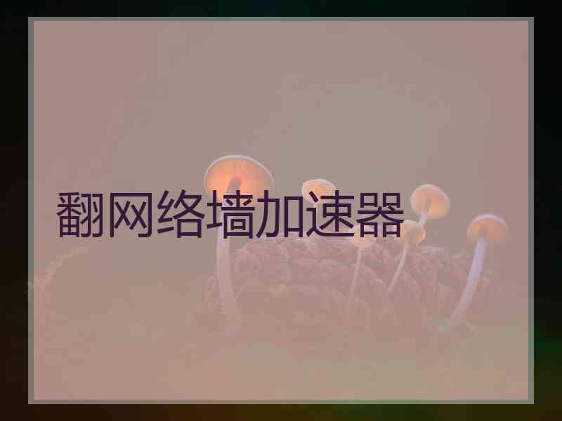 翻网络墙加速器