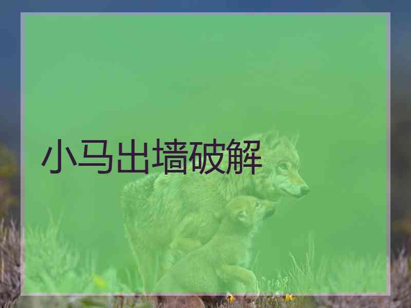 小马出墙破解