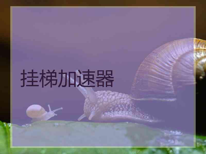 挂梯加速器