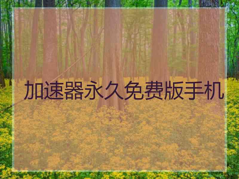 加速器永久免费版手机