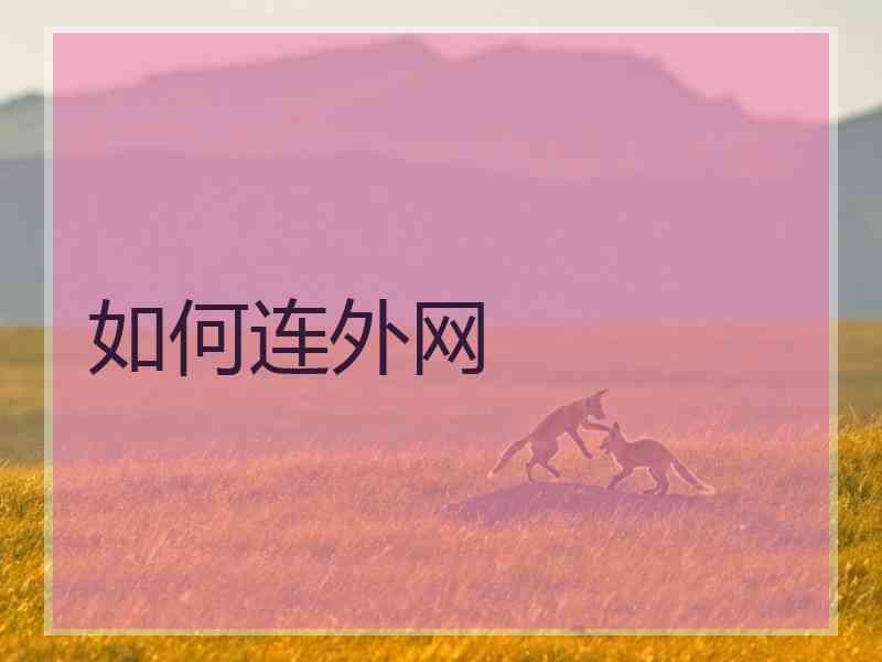 如何连外网