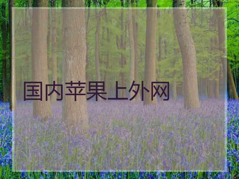 国内苹果上外网