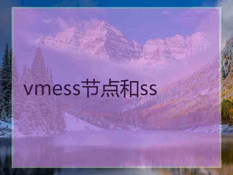 vmess节点和ss