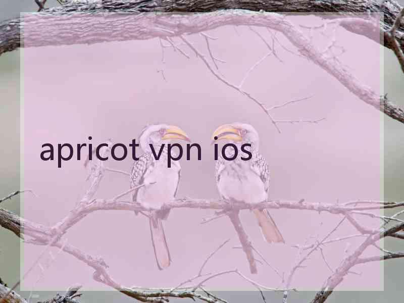 apricot vpn ios