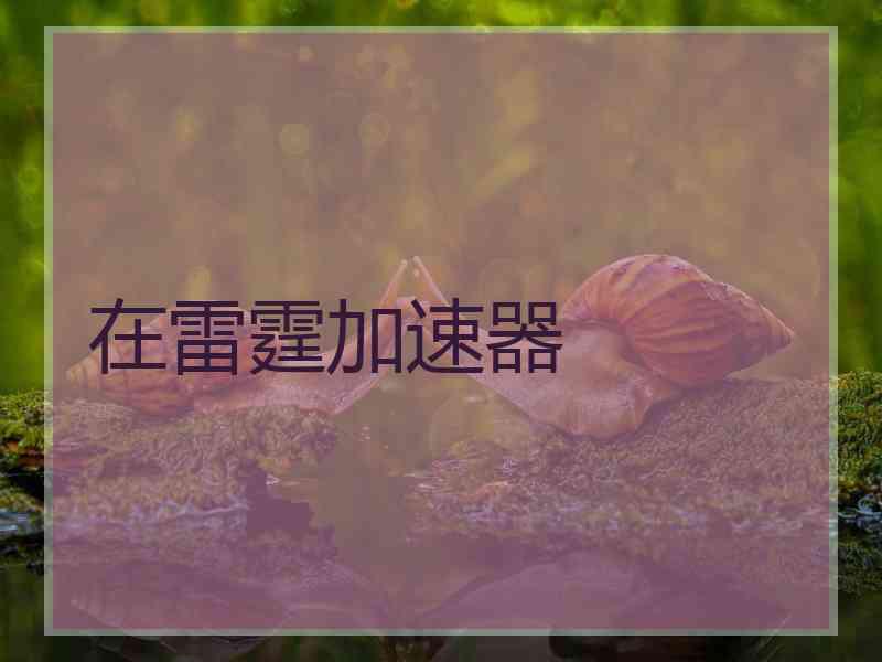 在雷霆加速器