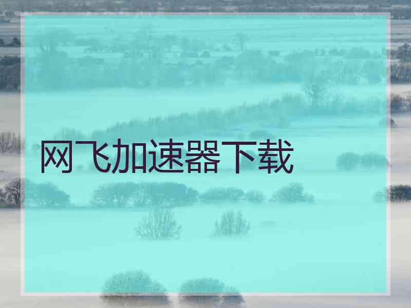 网飞加速器下载