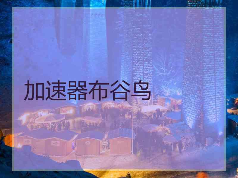 加速器布谷鸟