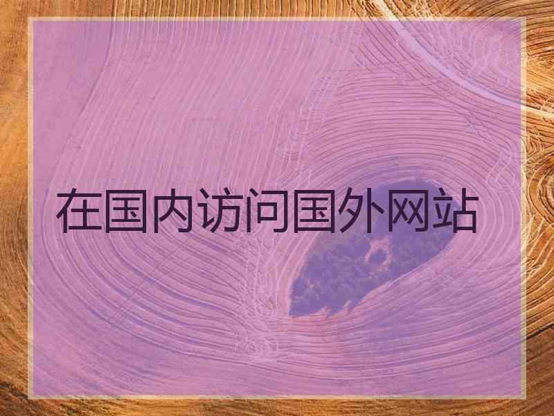 在国内访问国外网站