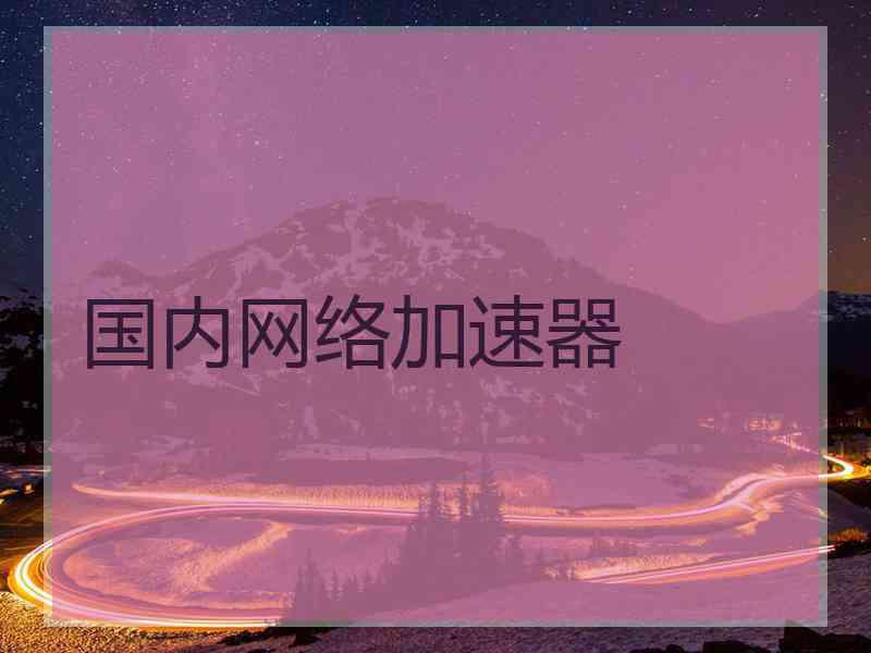 国内网络加速器