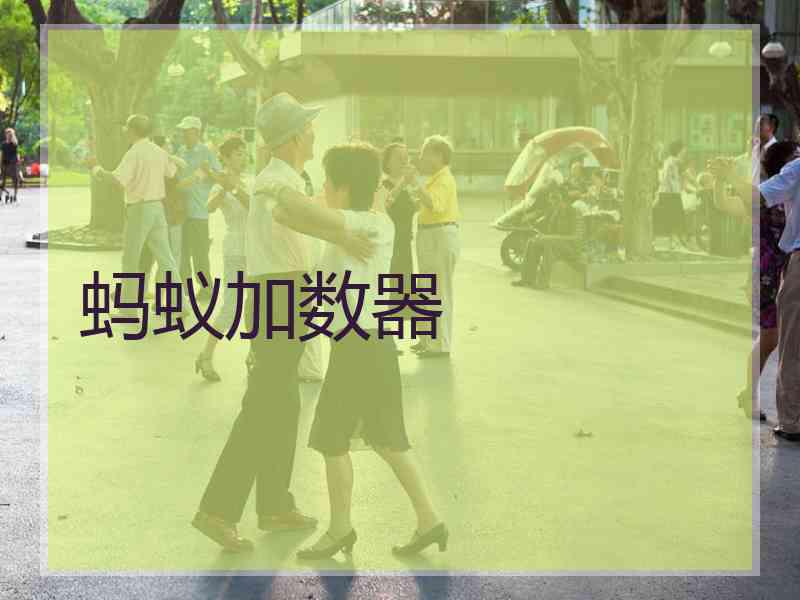 蚂蚁加数器