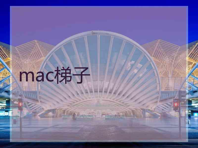 mac梯子