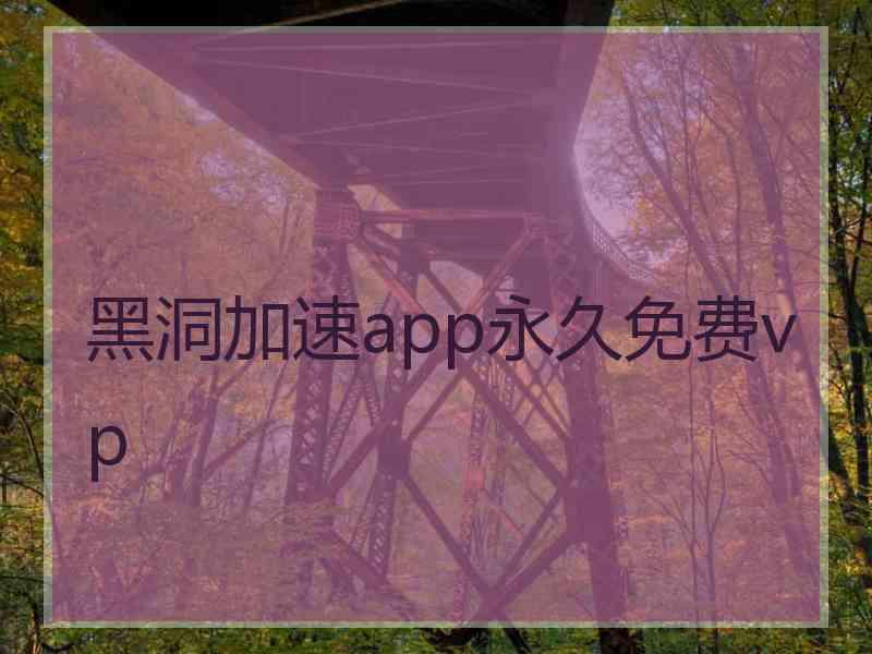 黑洞加速app永久免费vp