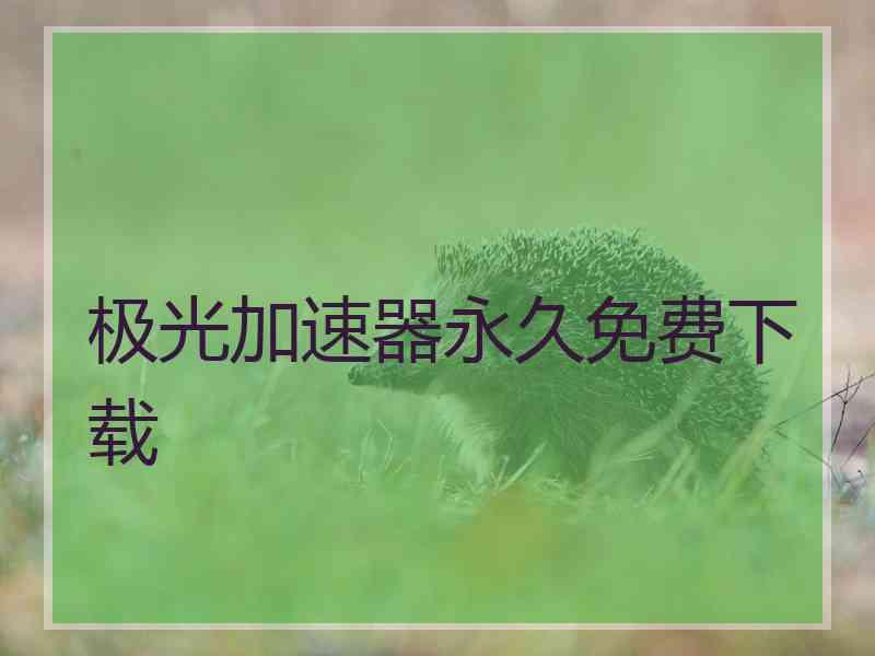 极光加速器永久免费下载