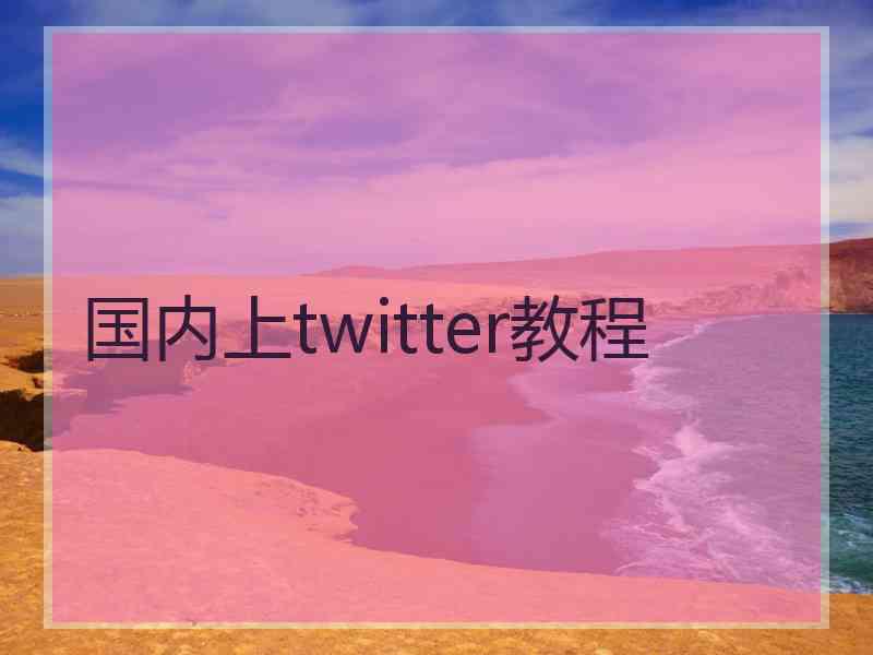 国内上twitter教程