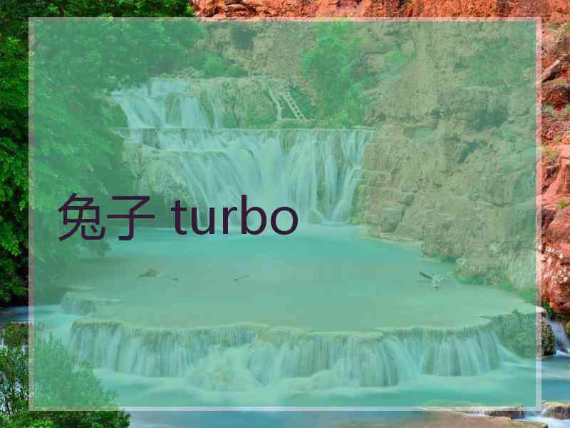 兔子 turbo