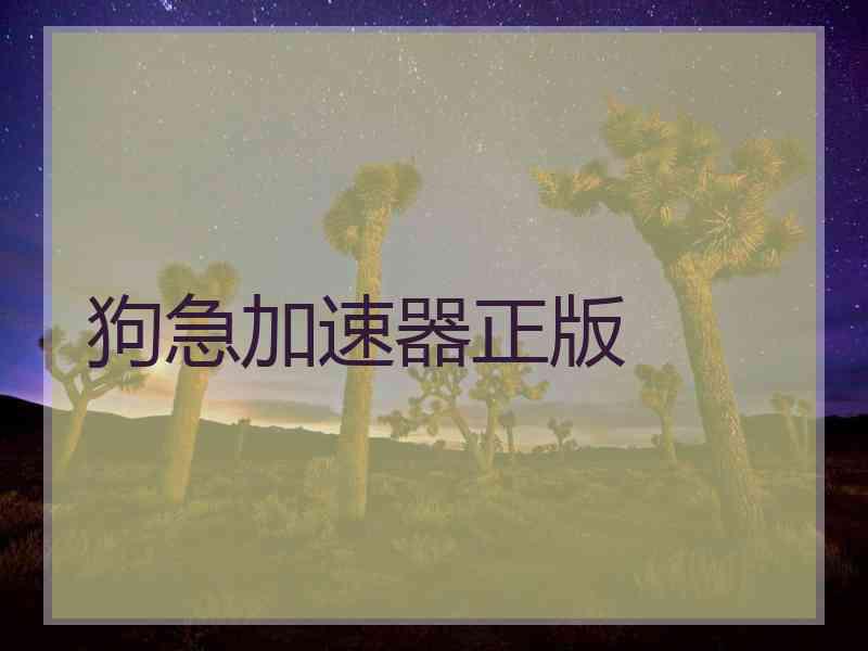 狗急加速器正版