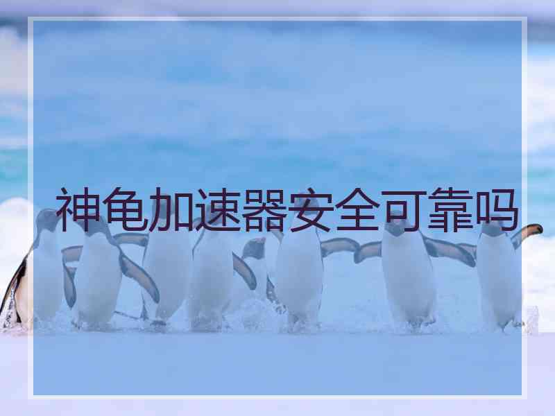 神龟加速器安全可靠吗
