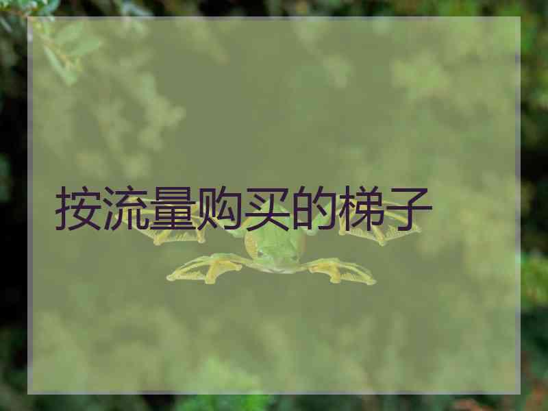 按流量购买的梯子