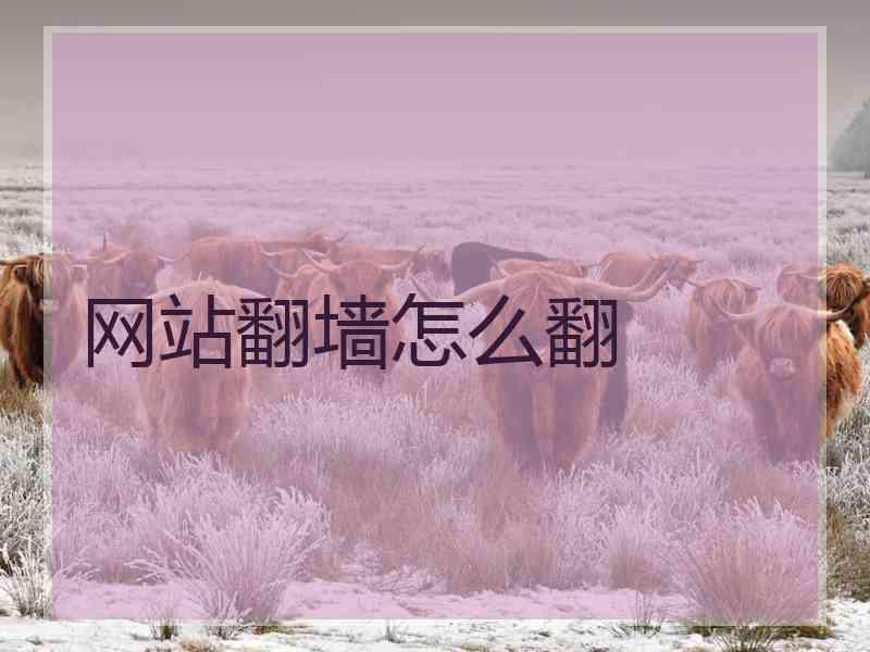 网站翻墙怎么翻
