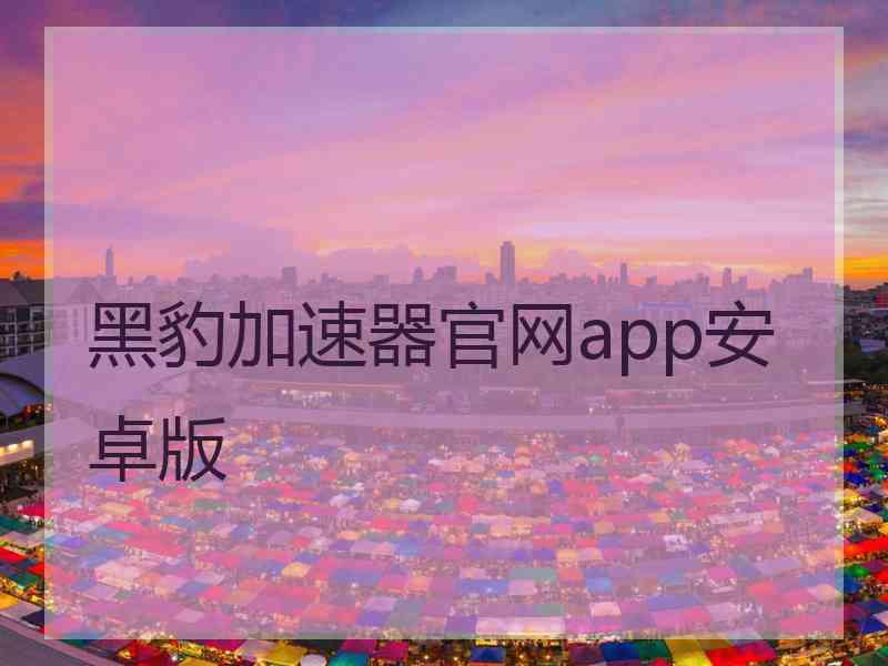 黑豹加速器官网app安卓版