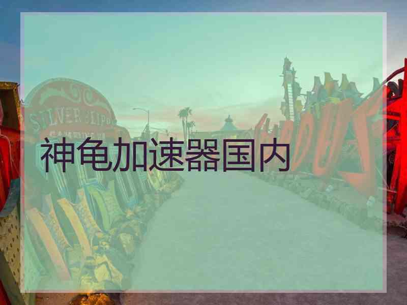 神龟加速器国内