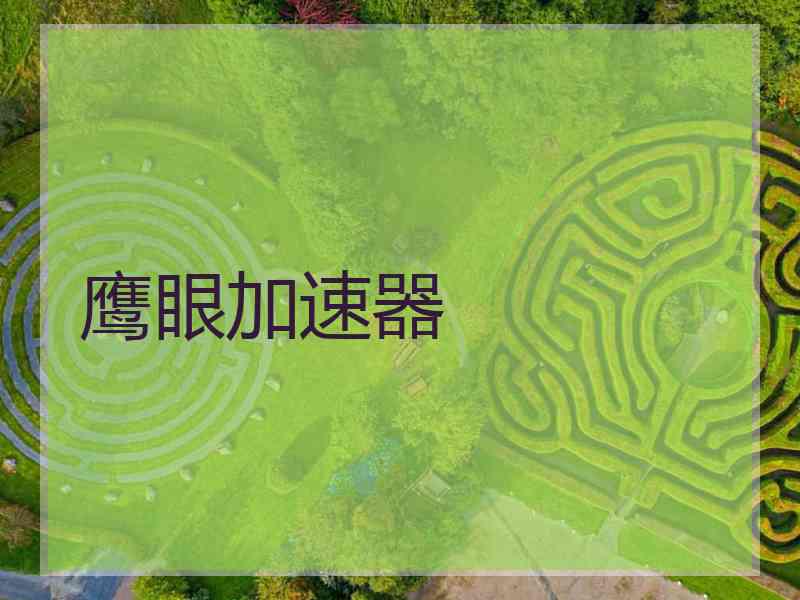 鹰眼加速器