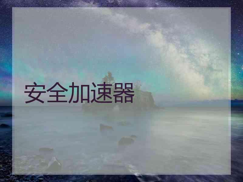 安全加速器