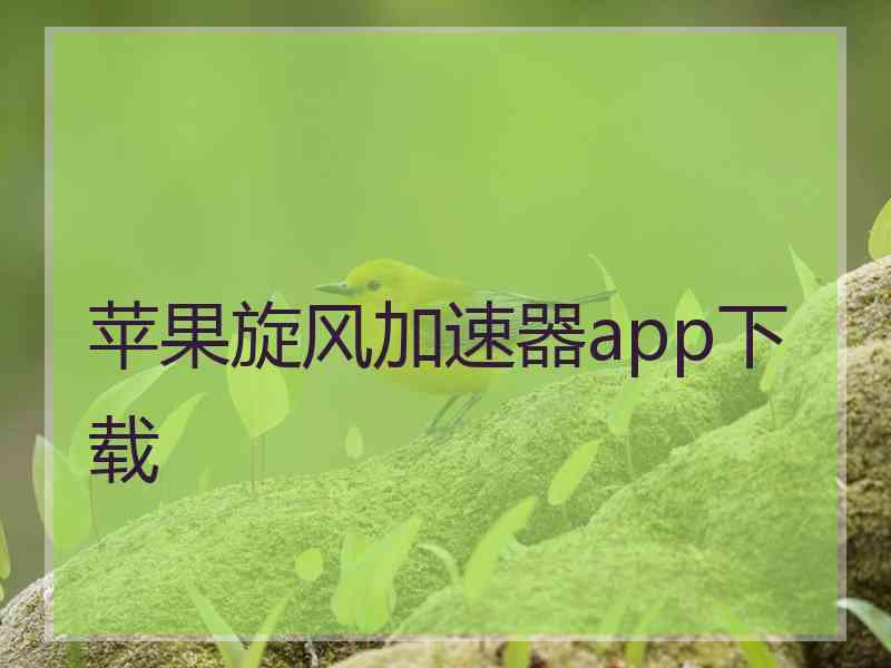 苹果旋风加速器app下载