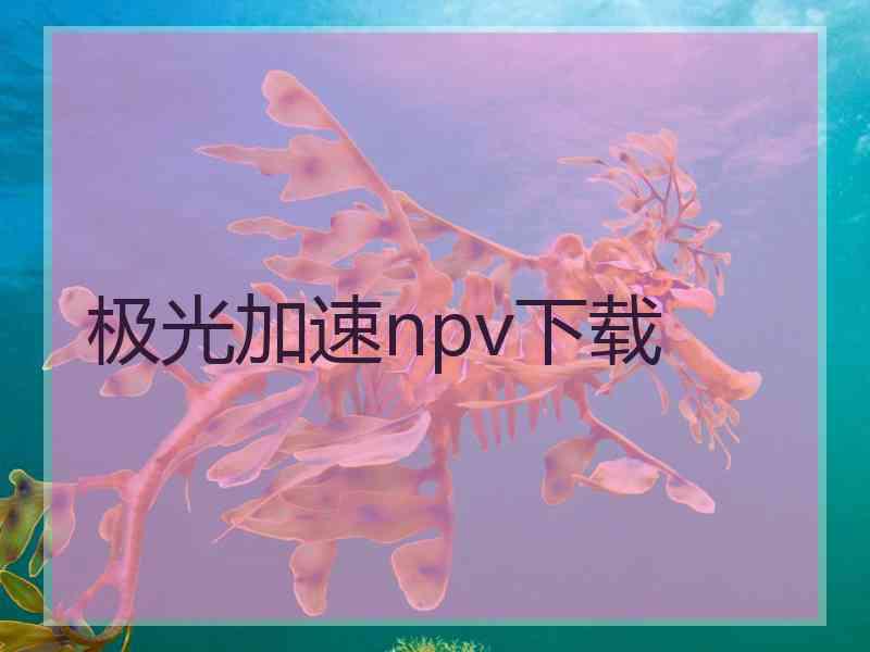 极光加速npv下载