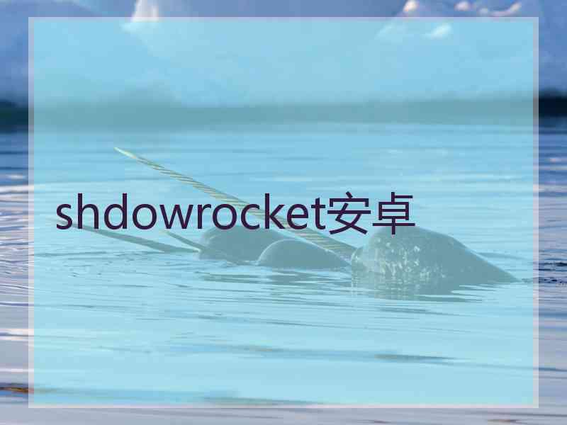 shdowrocket安卓