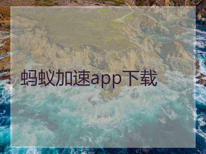 蚂蚁加速app下载