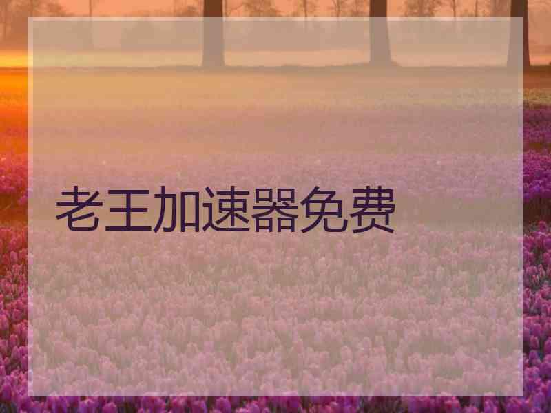 老王加速器免费