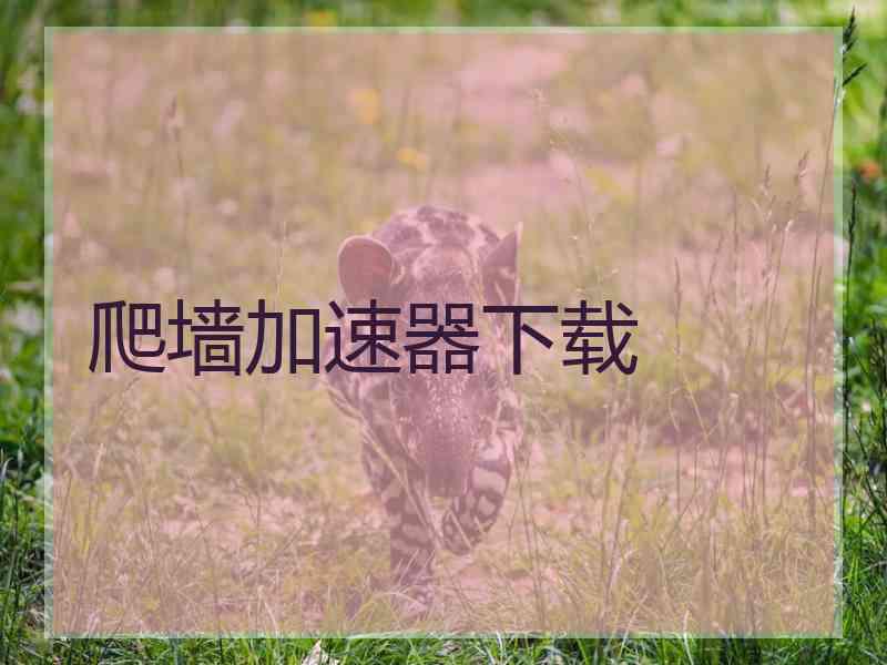 爬墙加速器下载