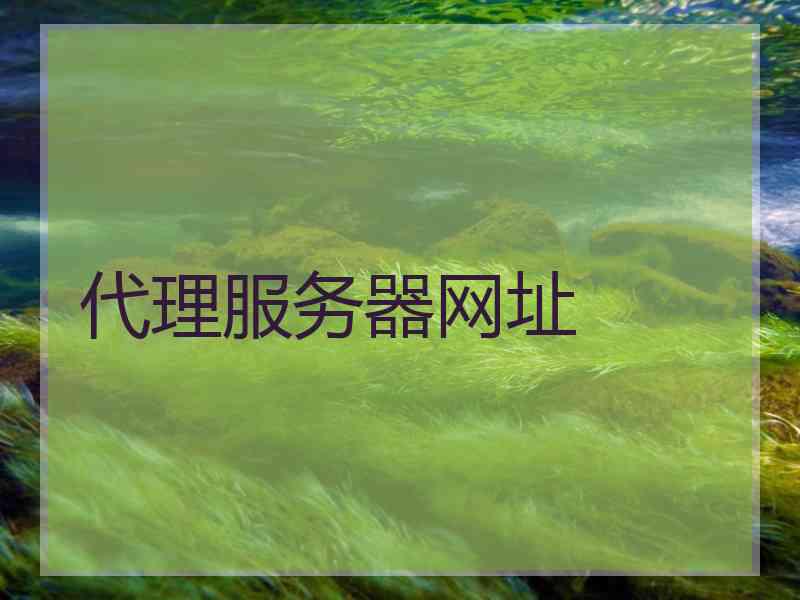 代理服务器网址