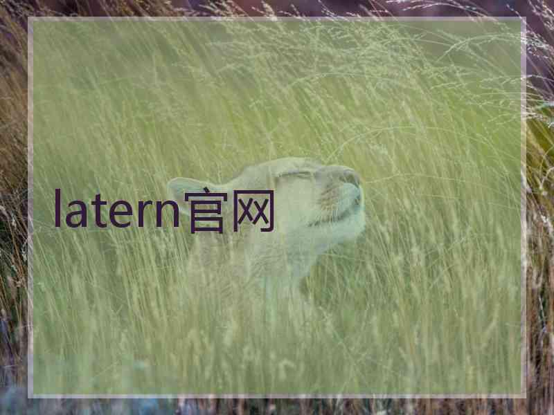 latern官网
