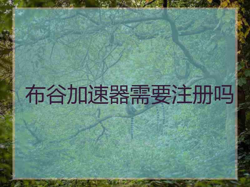 布谷加速器需要注册吗