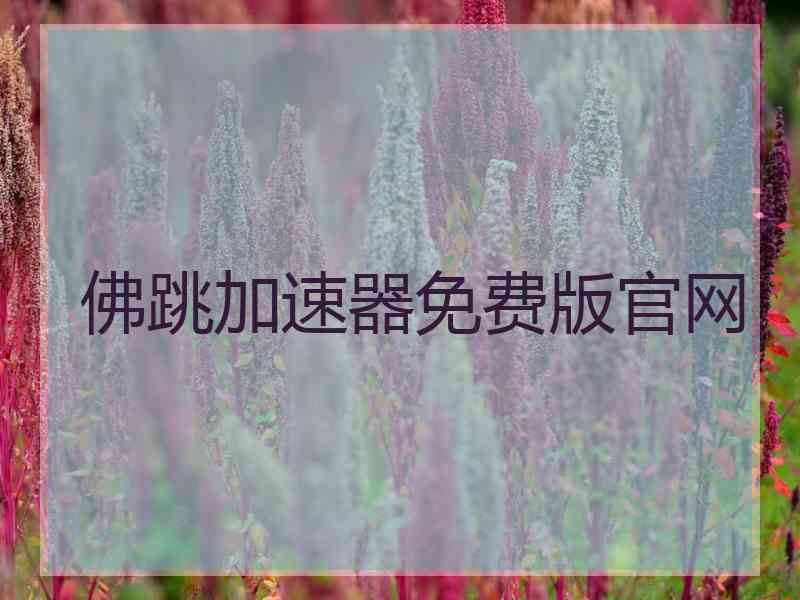 佛跳加速器免费版官网