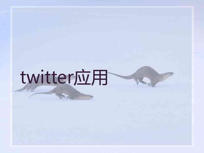 twitter应用
