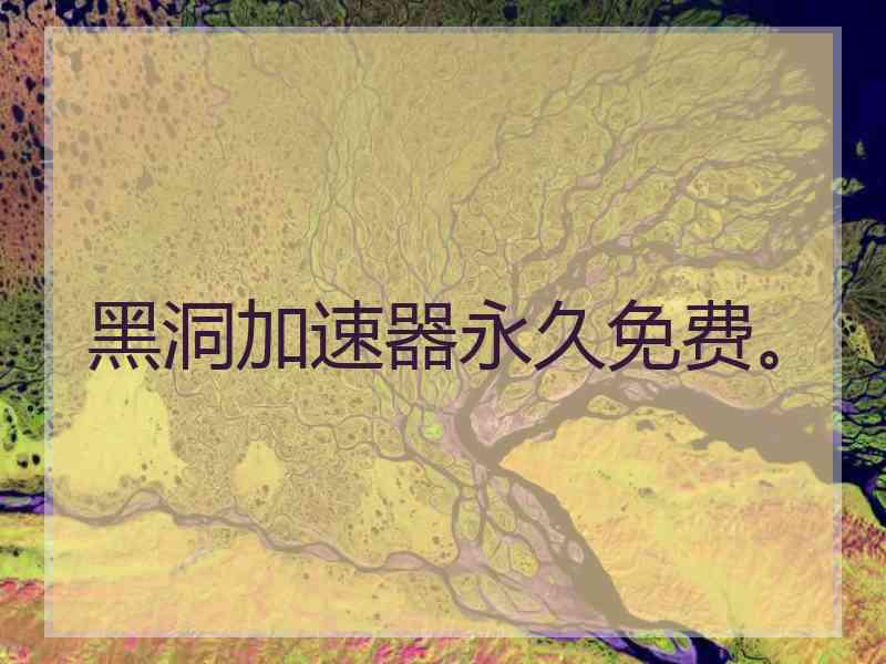 黑洞加速器永久免费。