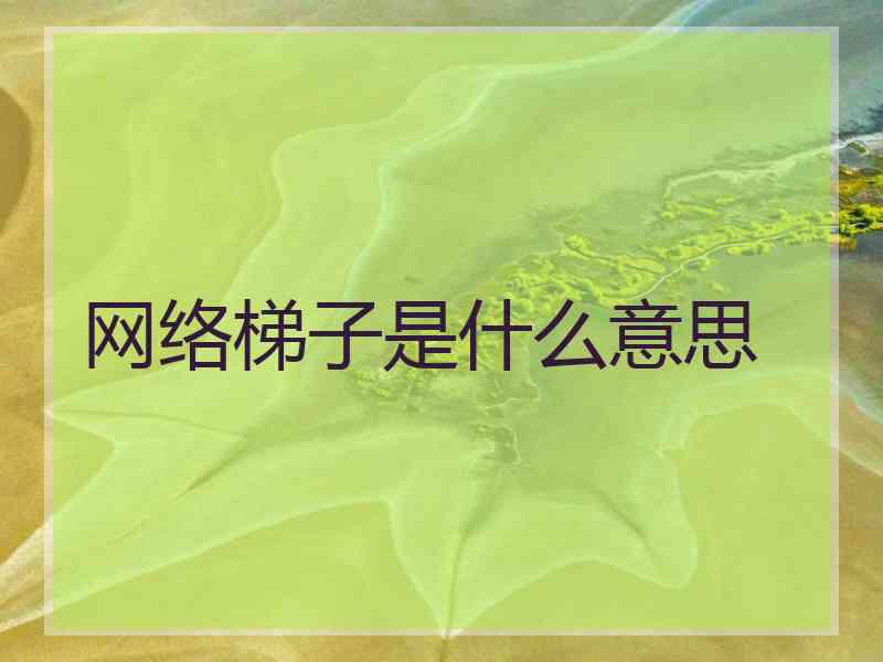 网络梯子是什么意思