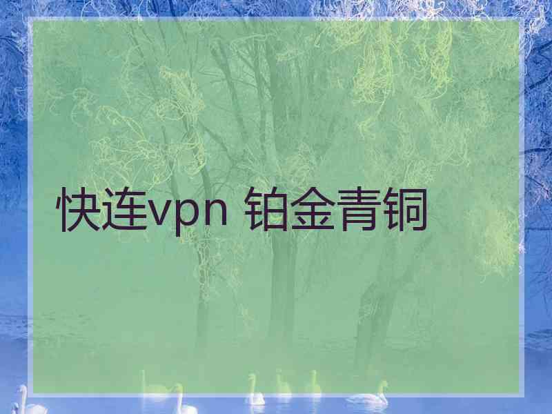 快连vpn 铂金青铜