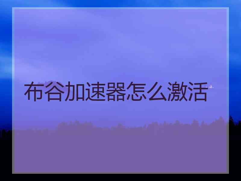 布谷加速器怎么激活