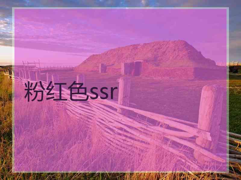 粉红色ssr