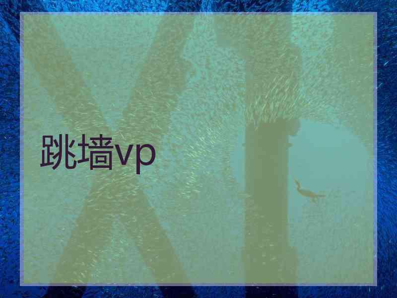 跳墙vp