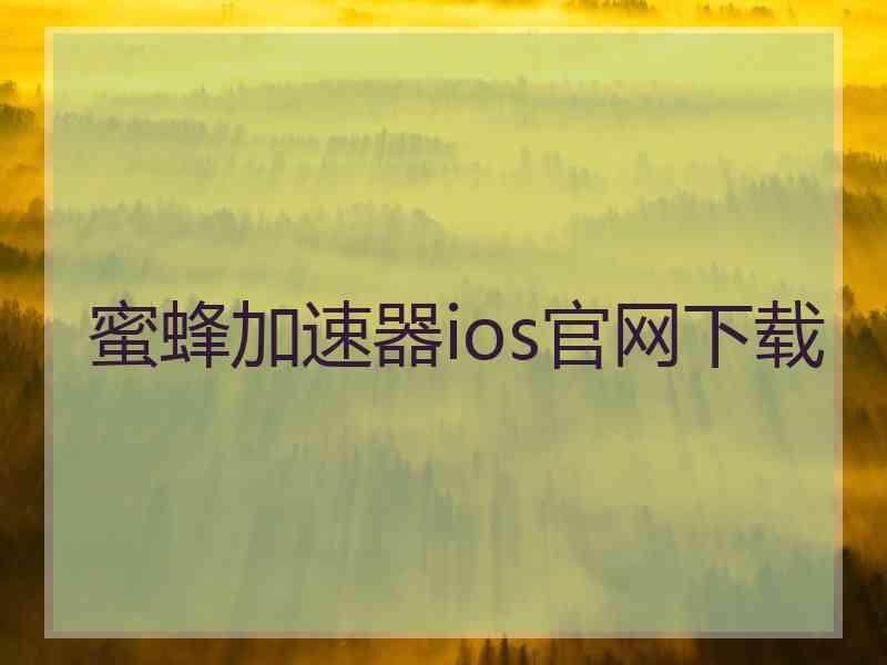 蜜蜂加速器ios官网下载