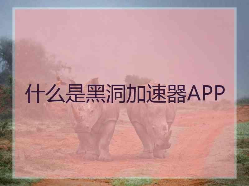 什么是黑洞加速器APP