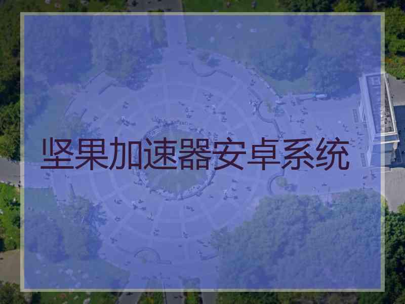 坚果加速器安卓系统