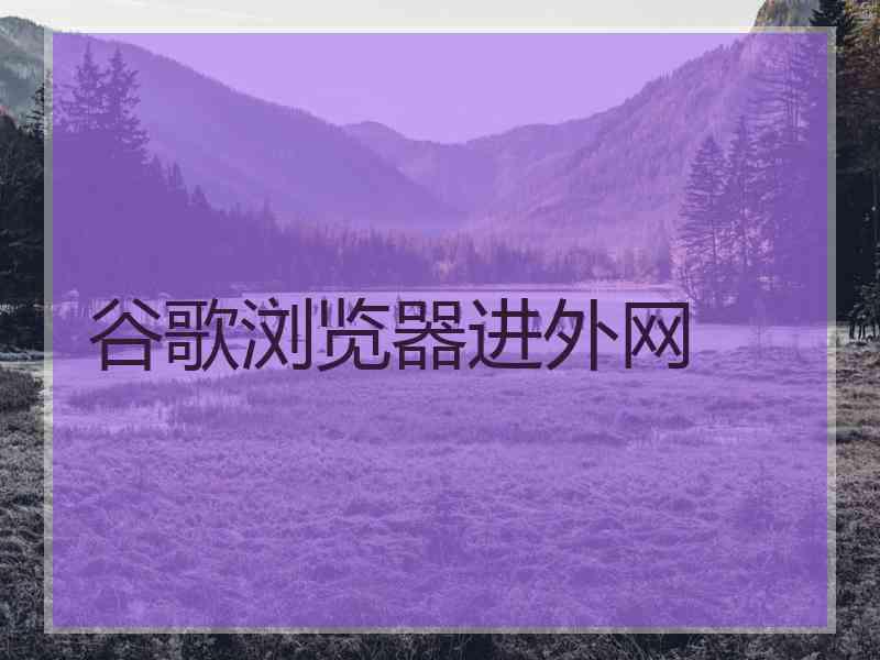 谷歌浏览器进外网