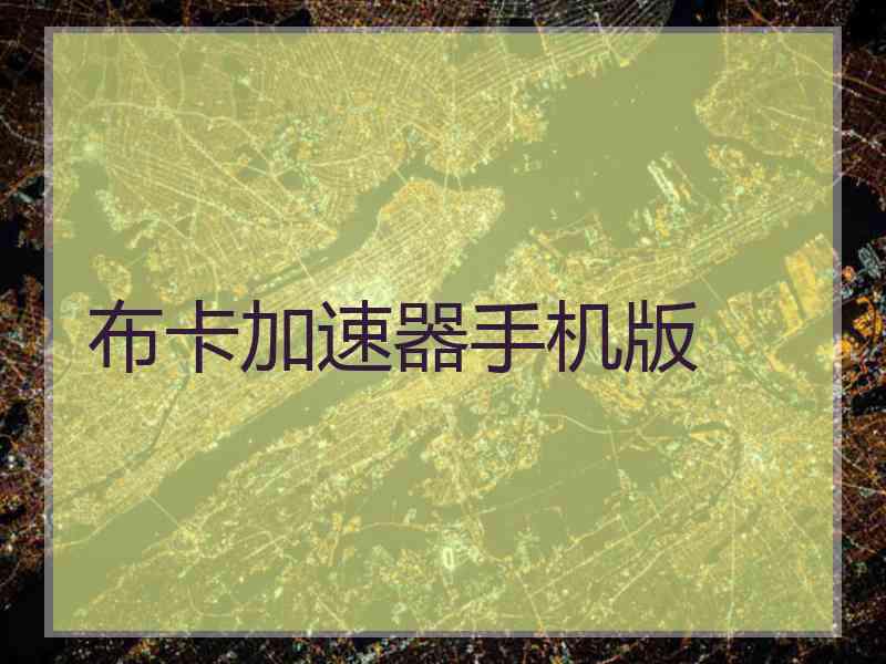 布卡加速器手机版