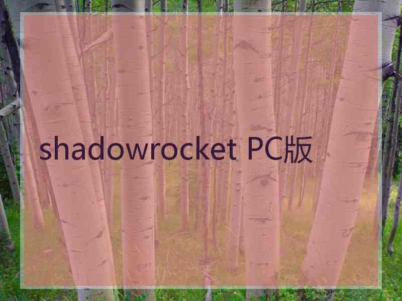 shadowrocket PC版